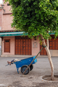 L.A. Photo Curator: Global Photography Awards - 'Where Photography & Philanthropy Meet' Second Place- Eric Renard "Siesta in Marrakesh" 