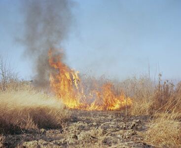 L.A. Photo Curator: Global Photography Awards - 'Where Photography & Philanthropy Meet' PRINTWORKS: PRINT-AID (PRINTS FOR FIRE RELIEF) 