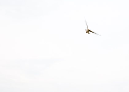 L.A. Photo Curator: Global Photography Awards - 'Where Photography & Philanthropy Meet' Exhibition #1 