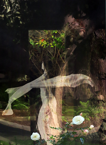 L.A. Photo Curator: Global Photography Awards - 'Where Photography & Philanthropy Meet' Exhibition #2 