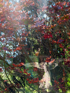 L.A. Photo Curator: Global Photography Awards - 'Where Photography & Philanthropy Meet' Exhibition #2 