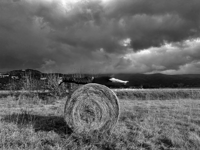 L.A. Photo Curator: Global Photography Awards - 'Where Photography & Philanthropy Meet' Exhibition #2 