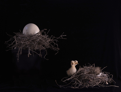 L.A. Photo Curator: Global Photography Awards - 'Where Photography & Philanthropy Meet' EXHIBITION #1 