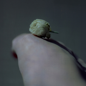 L.A. Photo Curator: Global Photography Awards - 'Where Photography & Philanthropy Meet' EXHIBITION #2 