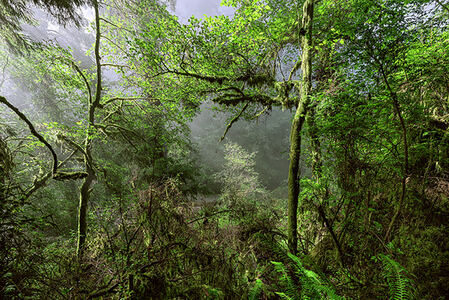 L.A. Photo Curator: Global Photography Awards - 'Where Photography & Philanthropy Meet' Exhibition #1 
