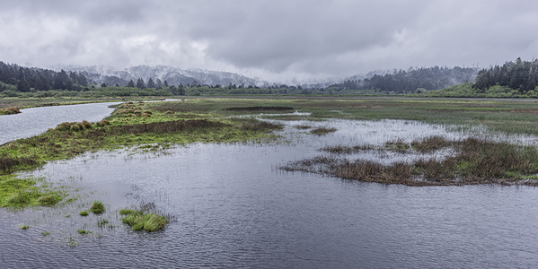 L.A. Photo Curator: Global Photography Awards - 'Where Photography & Philanthropy Meet' Exhibition #1 