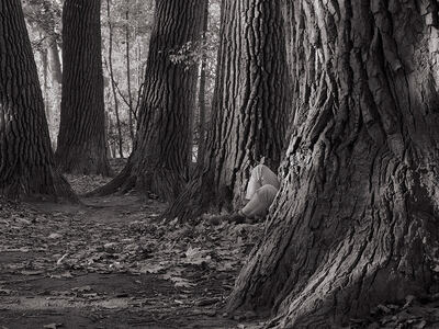 L.A. Photo Curator: Global Photography Awards - 'Where Photography & Philanthropy Meet' First Place: Scott Offen, Legs in the Woods 