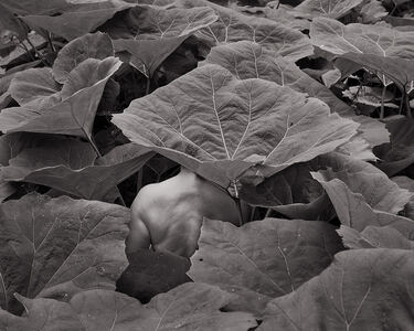 L.A. Photo Curator: Global Photography Awards - 'Where Photography & Philanthropy Meet' Best Series: Scottt Offen 