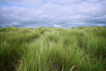 L.A. Photo Curator: Global Photography Awards - 'Where Photography & Philanthropy Meet' Honorable Mentions: Peter Kahn-Tolowa Dunes 10.21.23, Nadine Levin-Silence, Erica Martin Kelly- The Creek & Emma Sywyj- Taxi at Sunset 