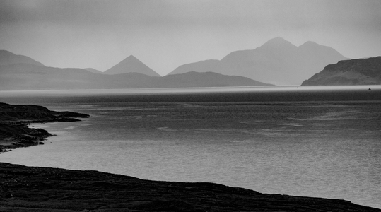 L.A. Photo Curator: Global Photography Awards - 'Where Photography & Philanthropy Meet' Honorable Mentions: Peter Kahn-Tolowa Dunes 10.21.23, Nadine Levin-Silence, Erica Martin Kelly- The Creek & Emma Sywyj- Taxi at Sunset 