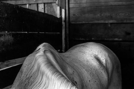 L.A. Photo Curator: Global Photography Awards - 'Where Photography & Philanthropy Meet' HONORABLE MENTIONS: Kathryn Dunlevie 'Cowboy Boots at Night', Kip Harris 'Law Office Once Library', Jesse Kiefer 'Derelictz Correo' & Prescott Lassman 'White Horse' 