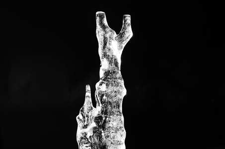 L.A. Photo Curator: Global Photography Awards - 'Where Photography & Philanthropy Meet' Exhibition #1 