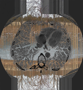 L.A. Photo Curator: Global Photography Awards - 'Where Photography & Philanthropy Meet' Exhibition #1 