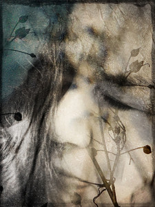 L.A. Photo Curator: Global Photography Awards - 'Where Photography & Philanthropy Meet' Exhibition #1 