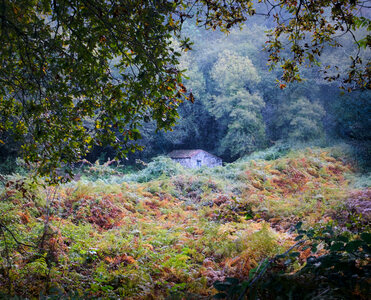 L.A. Photo Curator: Global Photography Awards - 'Where Photography & Philanthropy Meet' Exhibition #1 