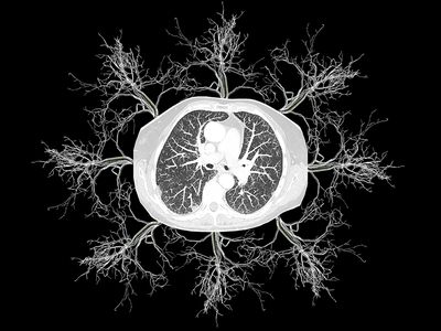 L.A. Photo Curator: Global Photography Awards - 'Where Photography & Philanthropy Meet' Top Images 2025 Exhibition 