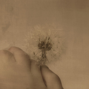 L.A. Photo Curator: Global Photography Awards - 'Where Photography & Philanthropy Meet' Top Images 2025 Exhibition 