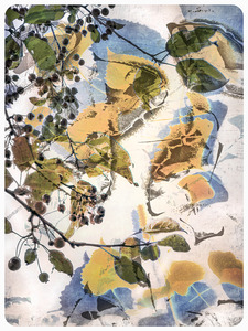 L.A. Photo Curator: Global Photography Awards - 'Where Photography & Philanthropy Meet' Top Images 2025 Exhibition 