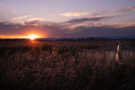 L.A. Photo Curator: Global Photography Awards - 'Where Photography & Philanthropy Meet' Top Images 2025 Exhibition 