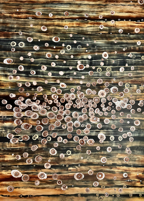 Laura Gurton  Unknown Species  Oil Painting Series   2017-2026 oil on linen