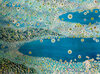 Carousel artwork image 998