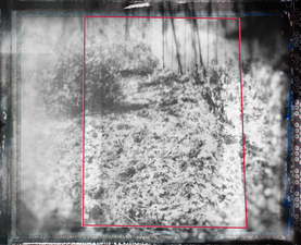 laura p krasnow pandemic Manipulated Polaroid film