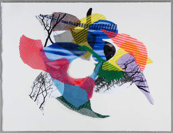 LAUREL SHUTE  2009 - 2015, Collages that are assembled layers loosely held together by stitches.  assemblage