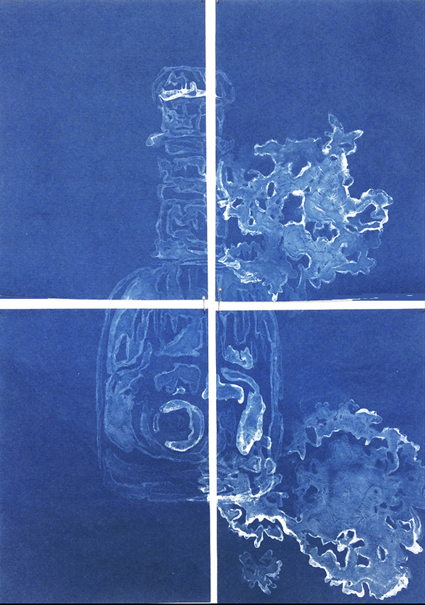  Blueprints Cyanotype (with mixed media transparencies)