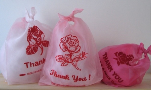 Lauren DiCioccio organza shopping bags 