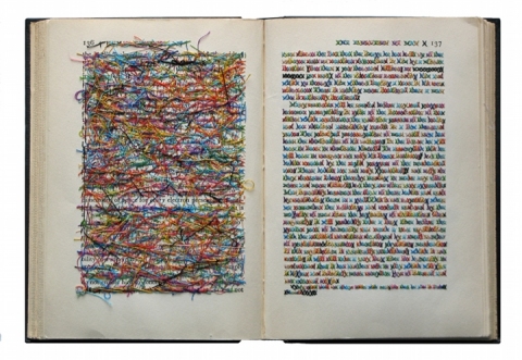 Lauren DiCioccio cross-stitched books 