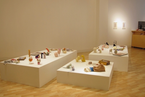 Lauren DiCioccio "New Work" at Jack Fischer Gallery, August 2012 