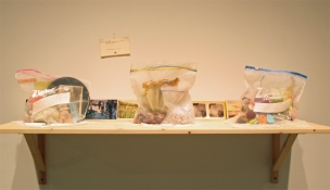 Lauren DiCioccio "notions" at Colgate University's Clifford Art Gallery, May 2009 