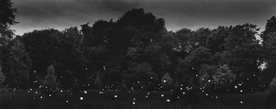 LAUREN ORCHOWSKI THE OBSERVABLE UNIVERSE, NEAR AND FAR, upstate Unique silver gelatin contact print