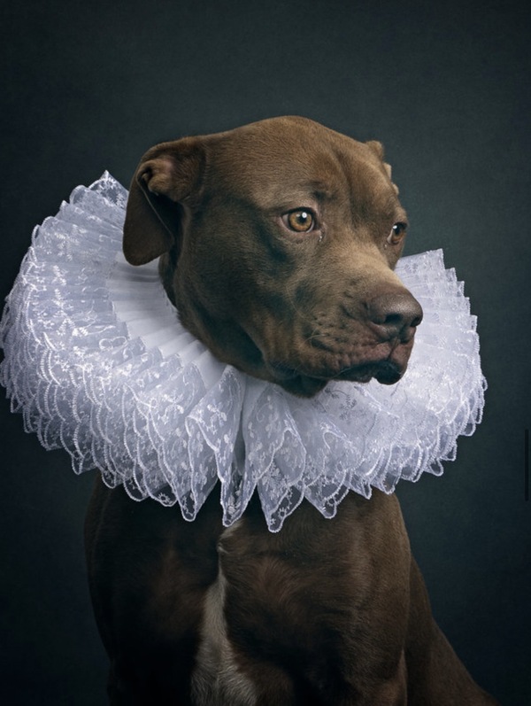 Laurie Freitag : Photographer Interview: Laurie Freitag & Diana Lundin 