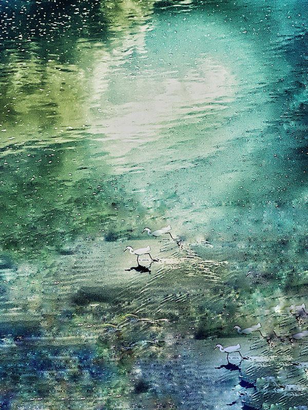  home page slide show art work