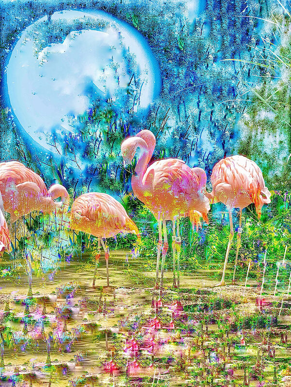  home page slide show art work