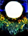 Carousel artwork image 2029
