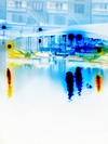 Carousel artwork image 2299