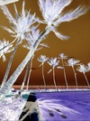 Carousel artwork image 2346