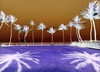 Carousel artwork image 2347