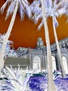 Carousel artwork image 2359