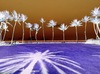 Carousel artwork image 2361
