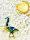 Carousel artwork image 2390