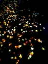 Carousel artwork image 2394