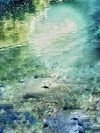 Carousel artwork image 2397