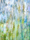 Carousel artwork image 2411