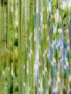 Carousel artwork image 2421