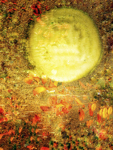 Laurie Freitag : Photographer Lunar Sanctuaries & Lunar Fields (B&W/Color Mixed-Media) 