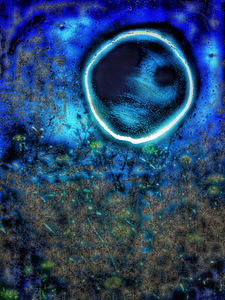 Laurie Freitag : Photographer Lunar Sanctuaries & Lunar Fields (B&W/Color Mixed-Media) 