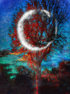 Laurie Freitag : Photographer Lunar Sanctuaries & Lunar Fields (B&W/Color Mixed-Media) 
